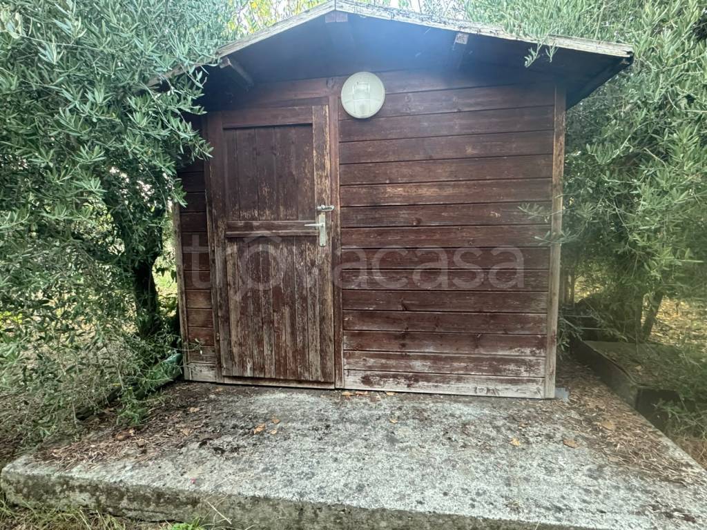 immagine annuncio 11 di 13