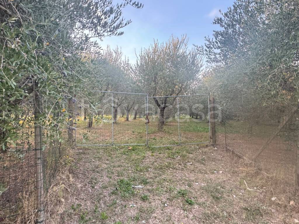 immagine annuncio 12 di 13