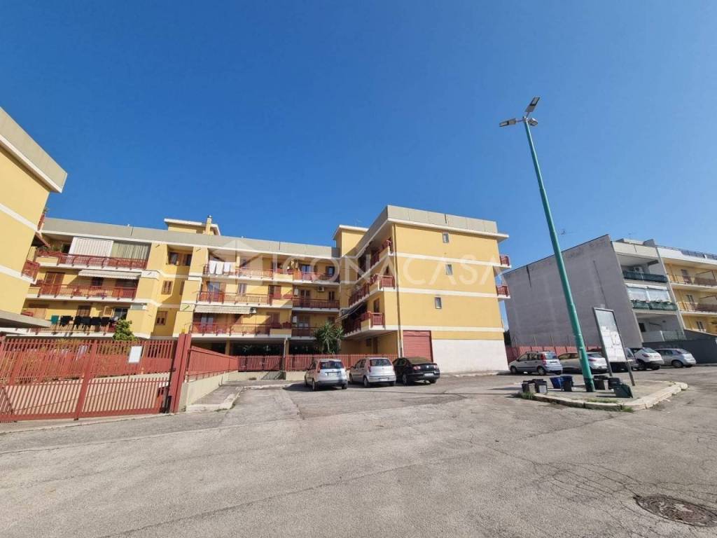 immagine annuncio 2 di 7