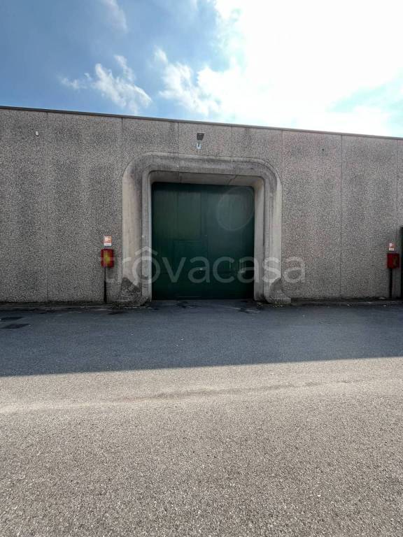 immagine annuncio 12 di 13