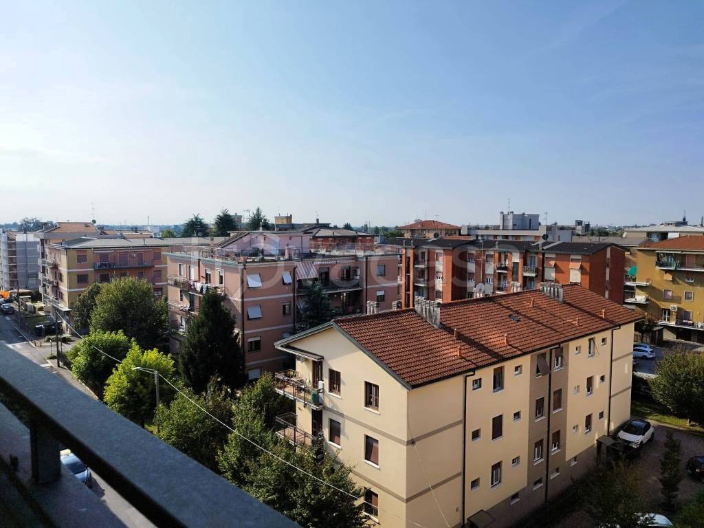immagine annuncio 6 di 15