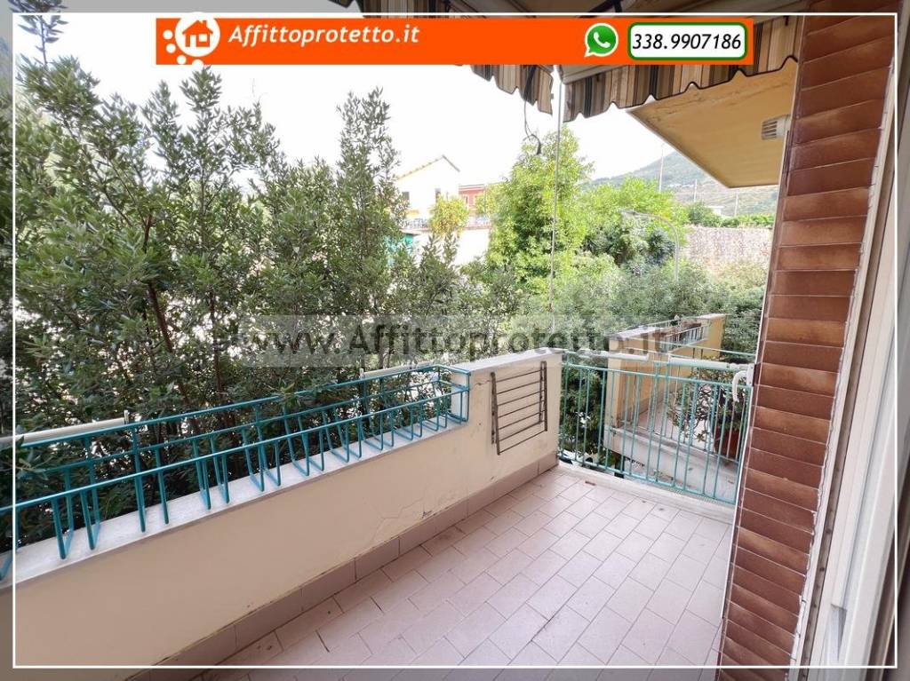 immagine annuncio 9 di 12