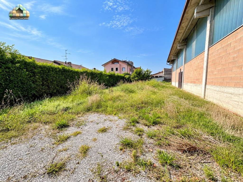 immagine annuncio 11 di 15