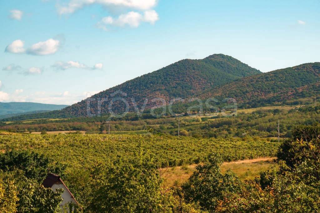terreno agricolo in vendita a Montegranaro