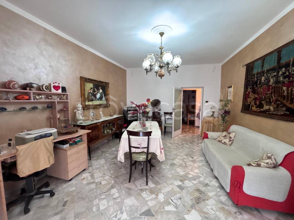 immagine annuncio 3 di 14