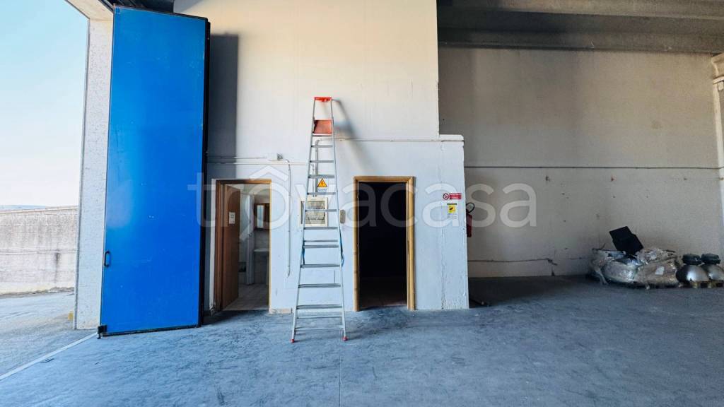 immagine annuncio 3 di 9