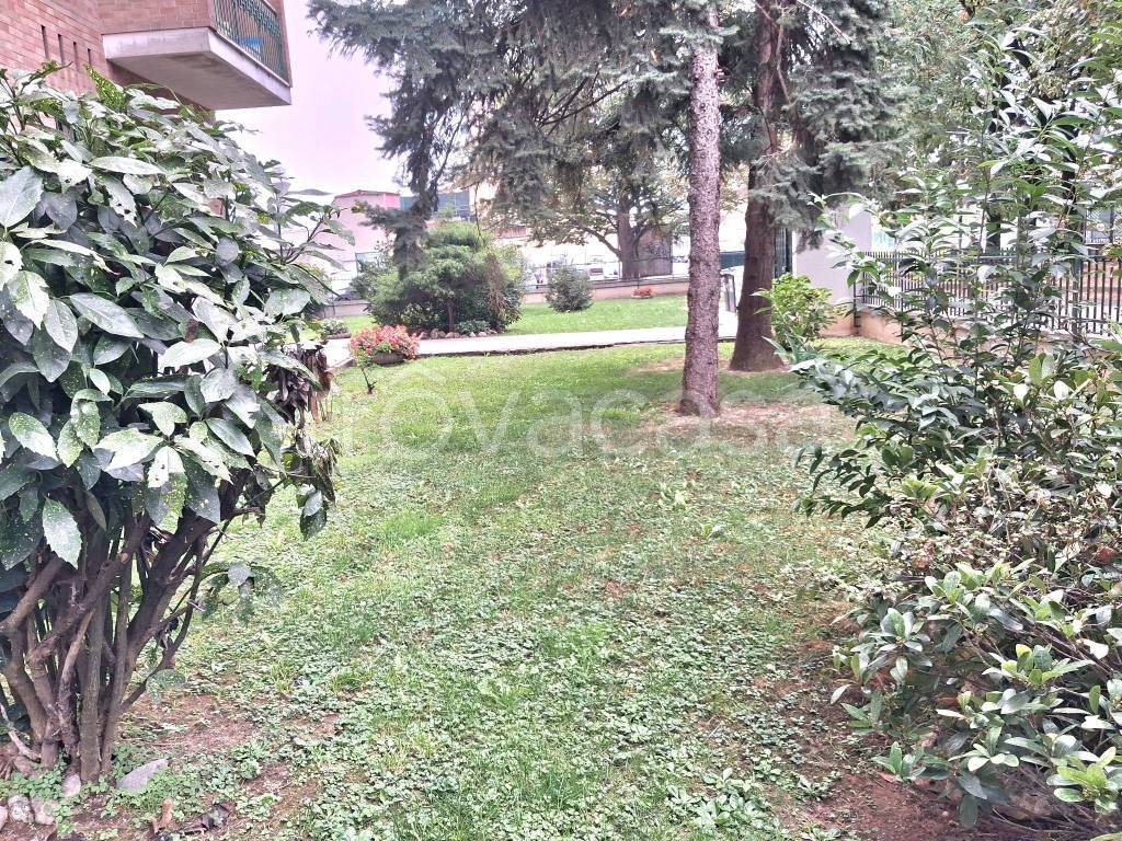 immagine annuncio 12 di 14