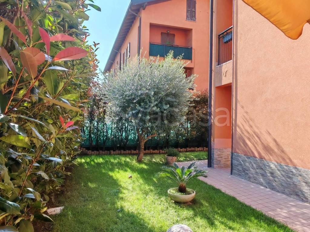 immagine annuncio 6 di 15
