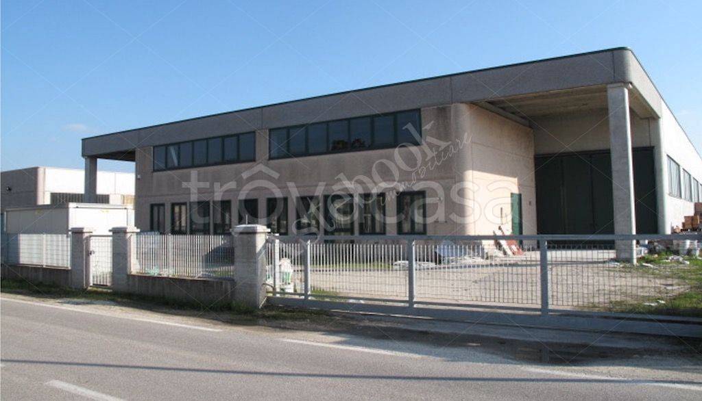 appartamento in vendita a Casale di Scodosia
