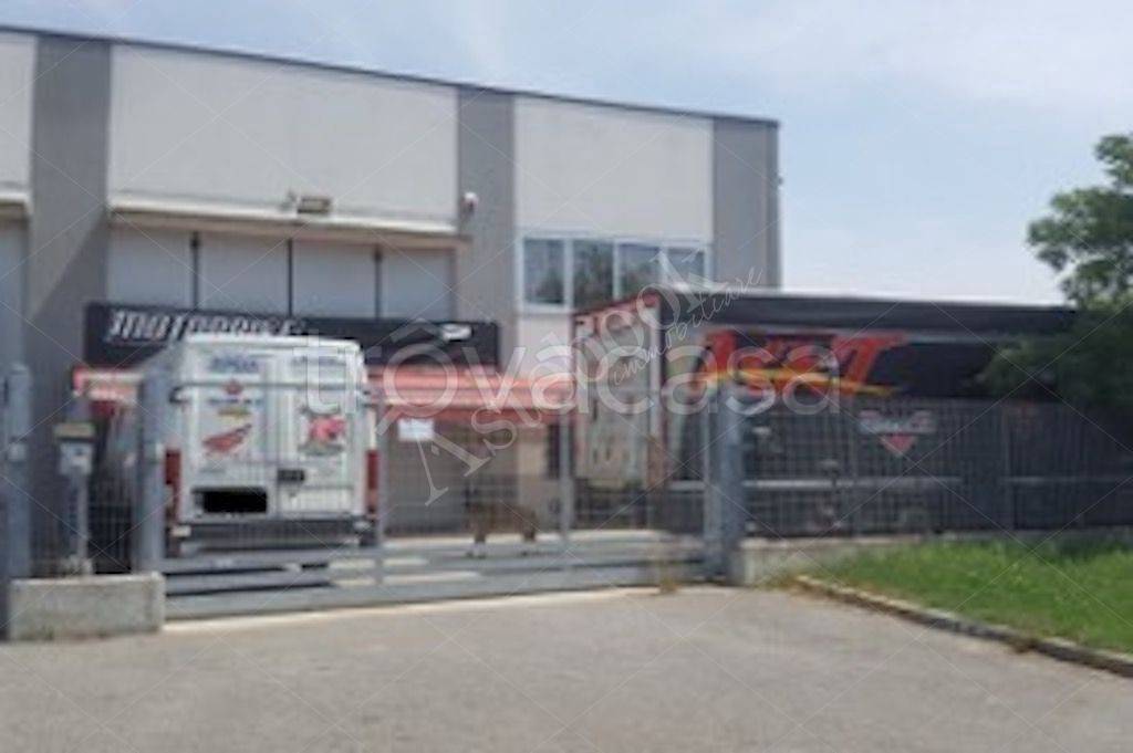 immagine annuncio 5 di 15