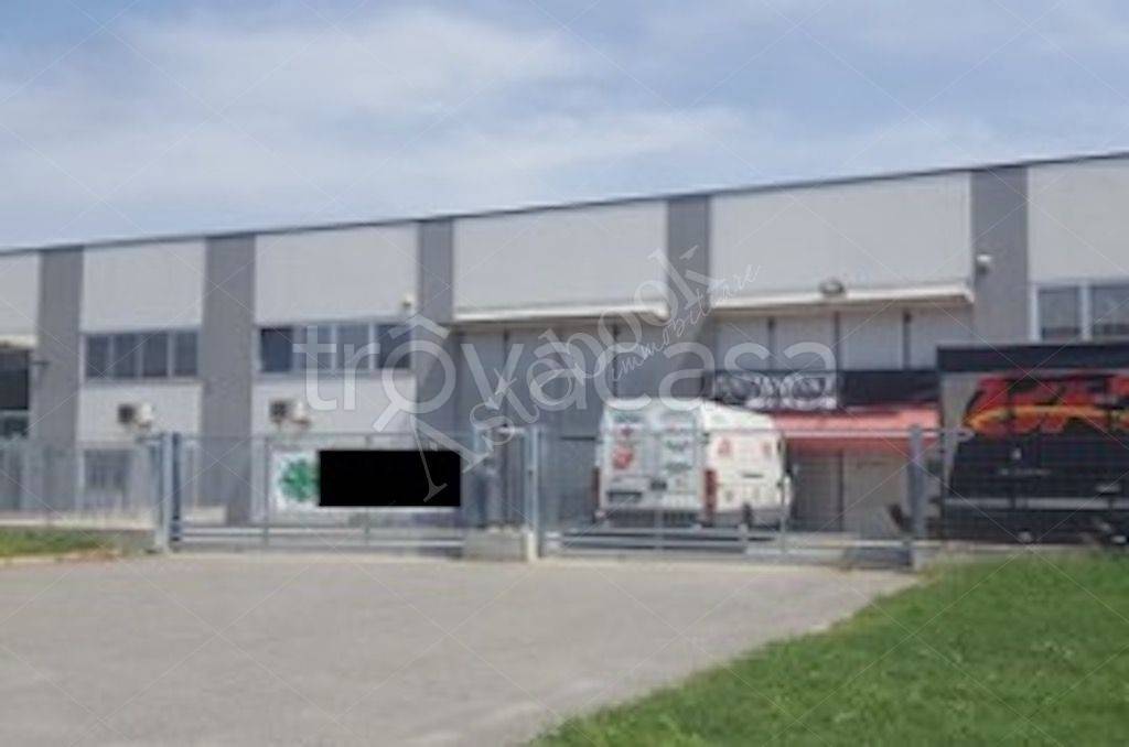 immagine annuncio 7 di 15