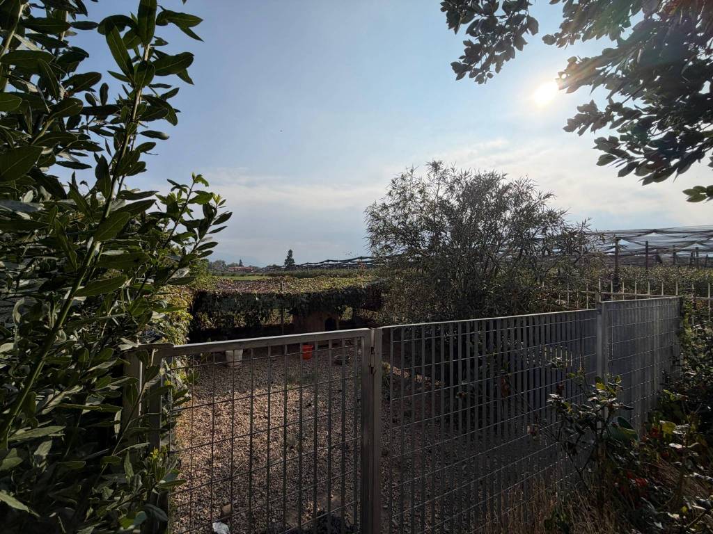 immagine annuncio 8 di 14