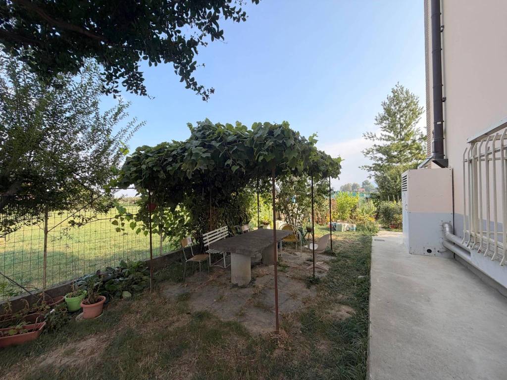immagine annuncio 9 di 14