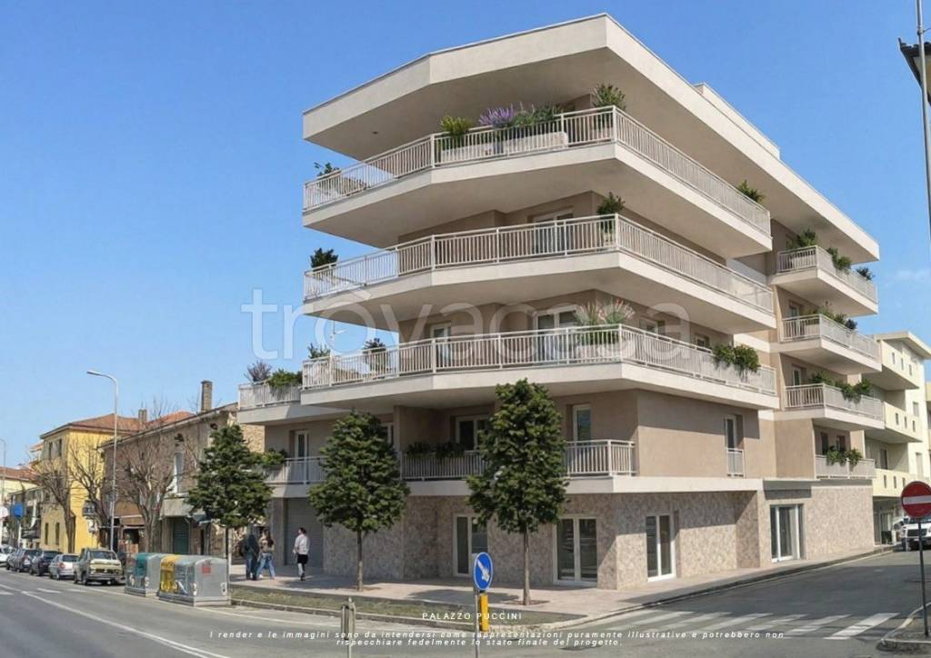 immagine annuncio 1 di 12
