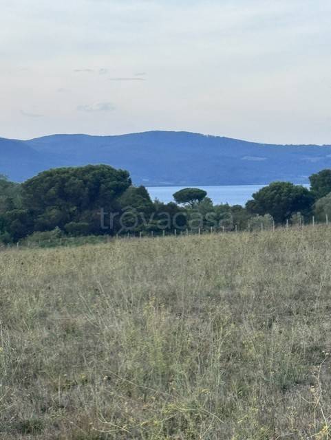 casa indipendente in vendita a Bracciano in zona Vigna di Valle