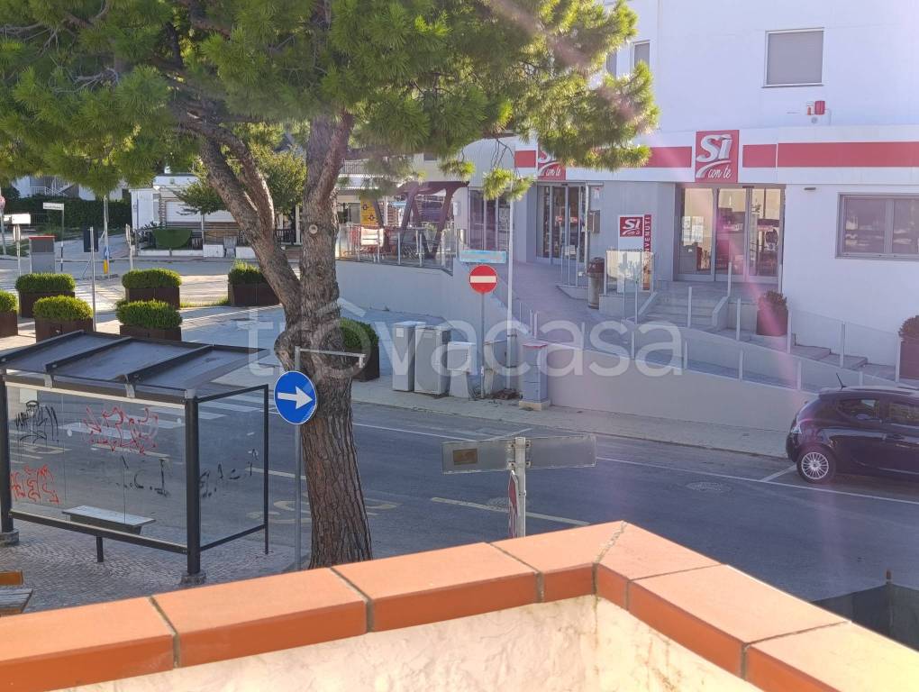 immagine annuncio 11 di 12