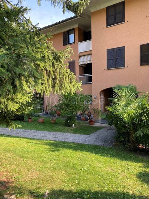immagine annuncio 5 di 9
