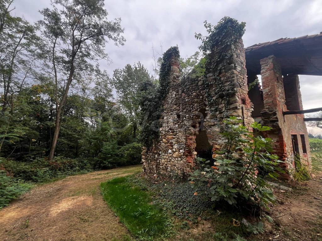 immagine annuncio 4 di 6