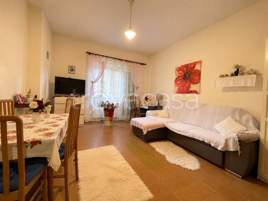 immagine annuncio 1 di 14