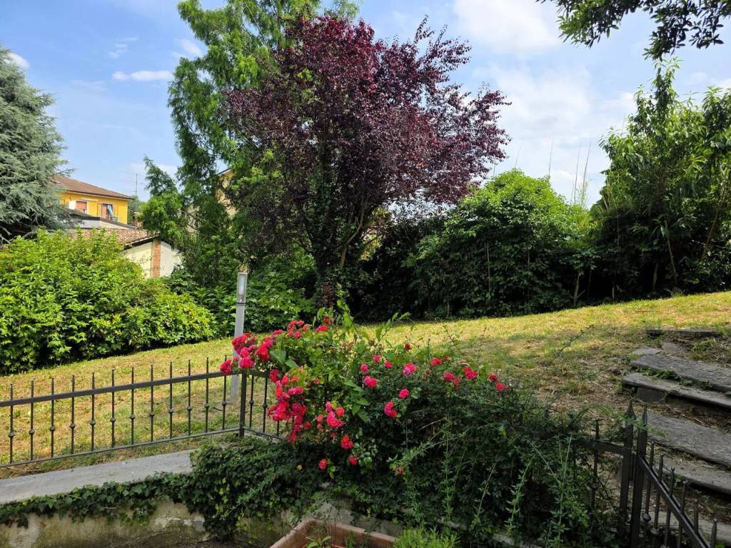 immagine annuncio 7 di 15