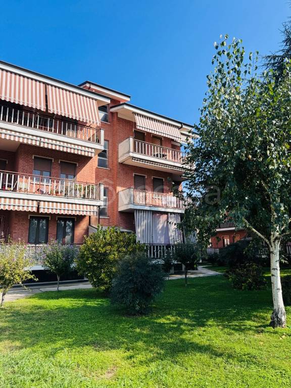 immagine annuncio 10 di 11