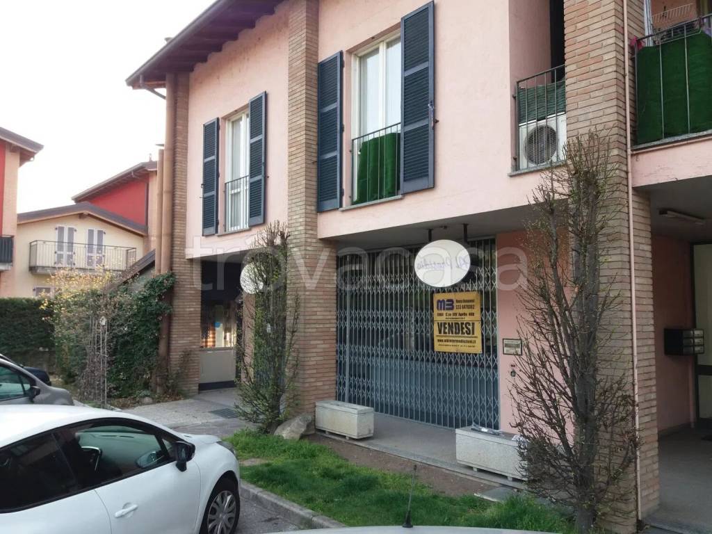 immagine annuncio 5 di 15