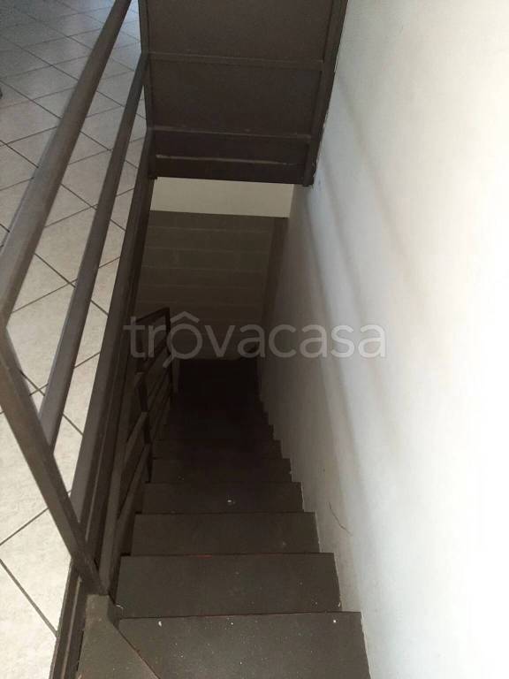 immagine annuncio 9 di 14