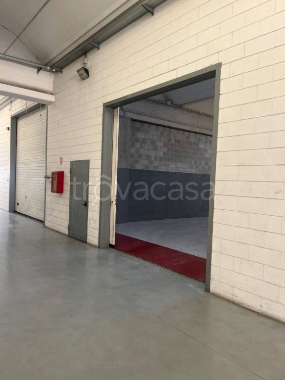 immagine annuncio 5 di 10