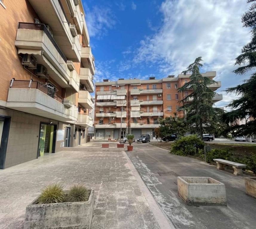 immagine annuncio 1 di 14