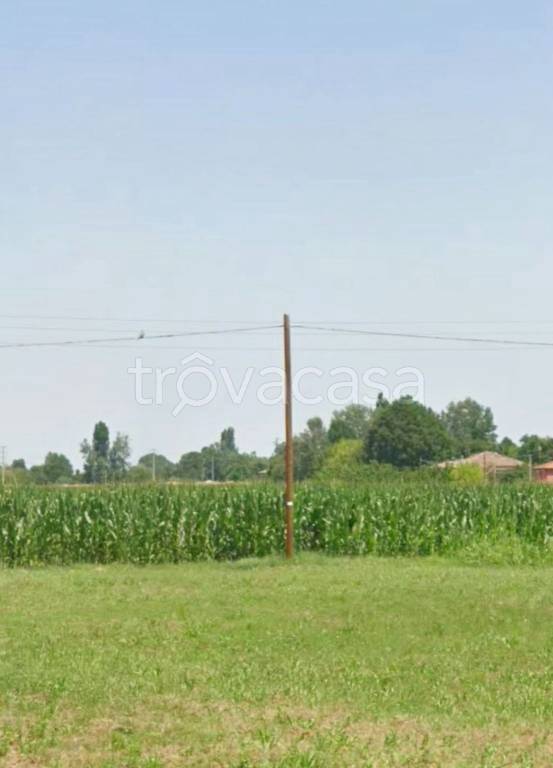 immagine annuncio 4 di 8
