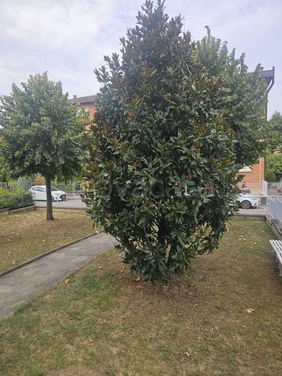 immagine annuncio 2 di 14