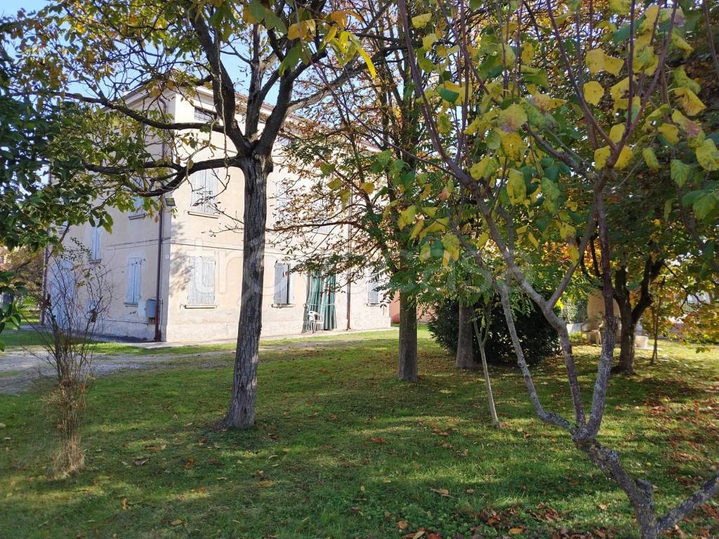 immagine annuncio 9 di 12