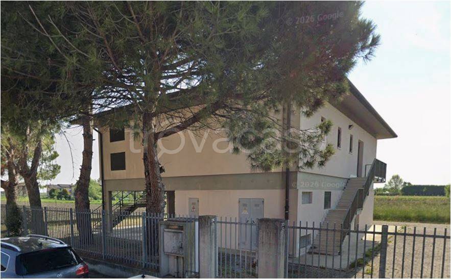 immagine annuncio 4 di 8
