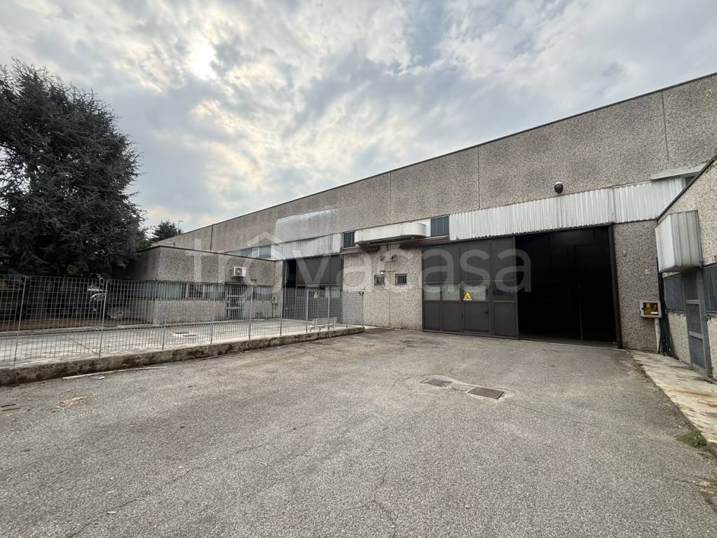 immagine annuncio 6 di 13