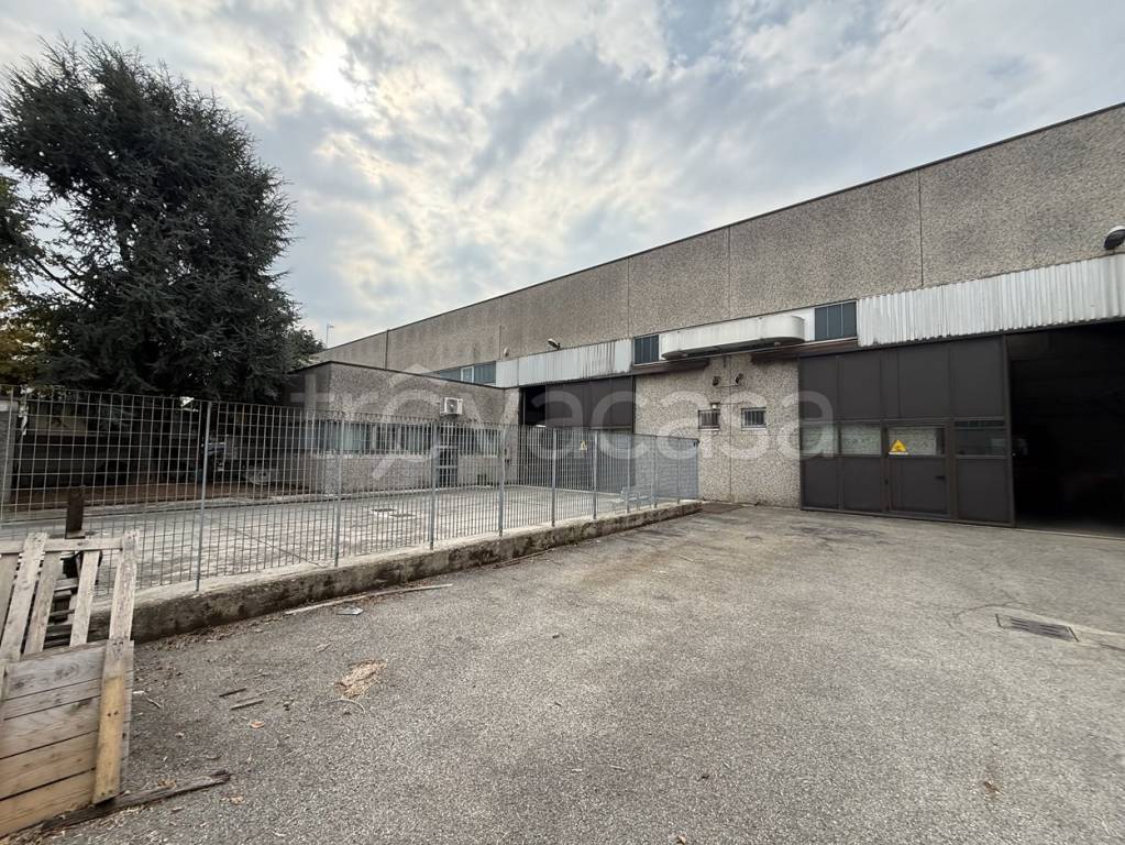 immagine annuncio 7 di 13