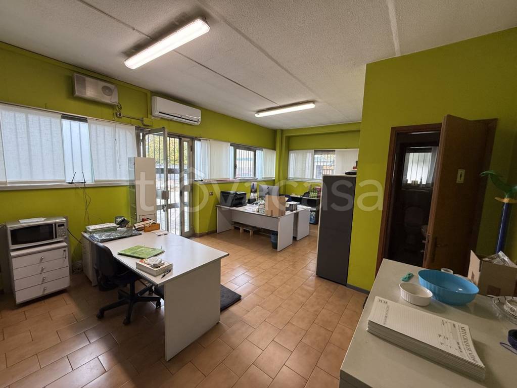 immagine annuncio 11 di 13
