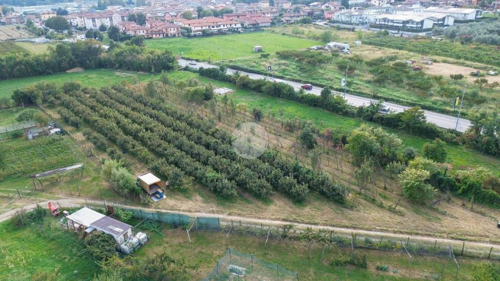 immagine annuncio 1 di 12