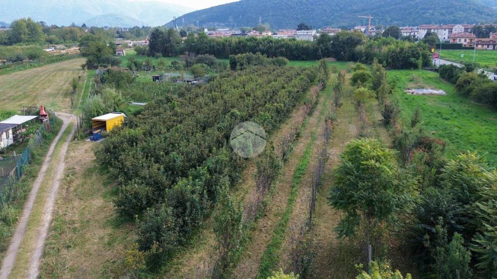 immagine annuncio 3 di 12