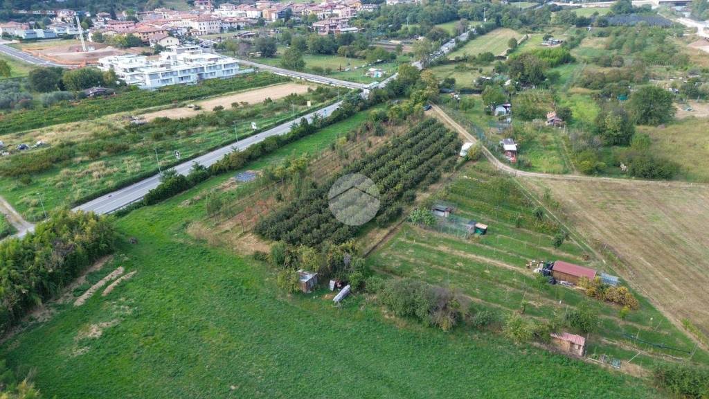 immagine annuncio 10 di 12