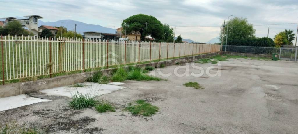 immagine annuncio 6 di 7