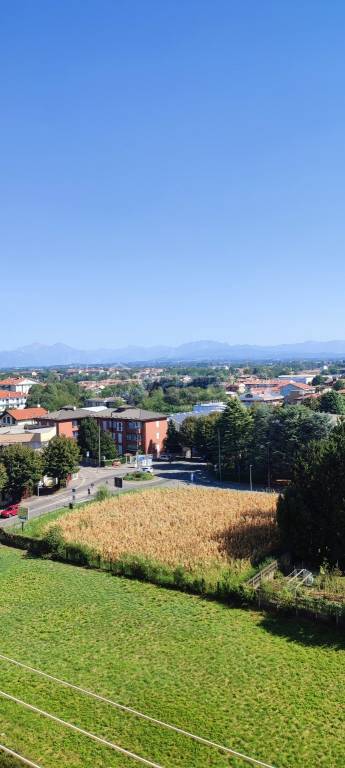 immagine annuncio 7 di 14