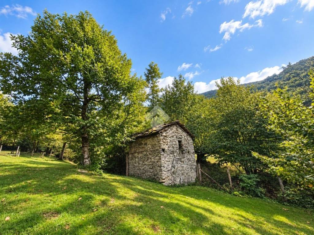 immagine annuncio 4 di 9