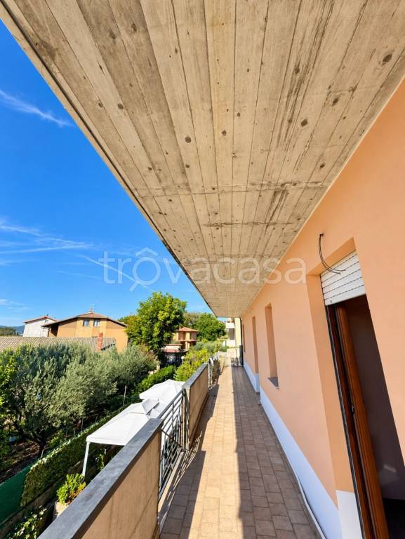 immagine annuncio 4 di 14