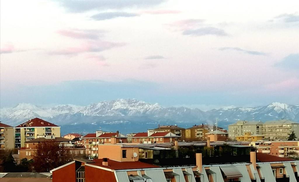 immagine annuncio 2 di 4