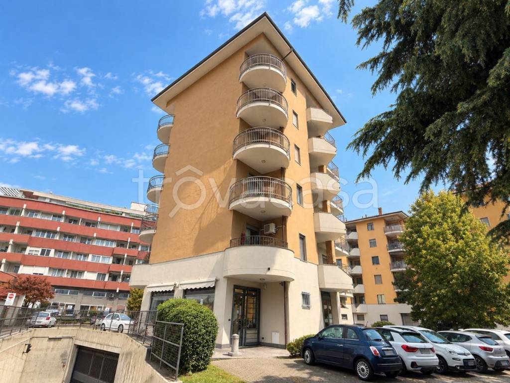 immagine annuncio 11 di 13