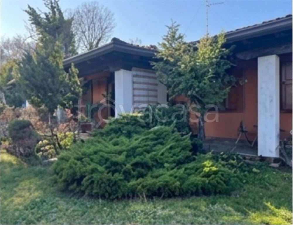 immagine annuncio 2 di 11