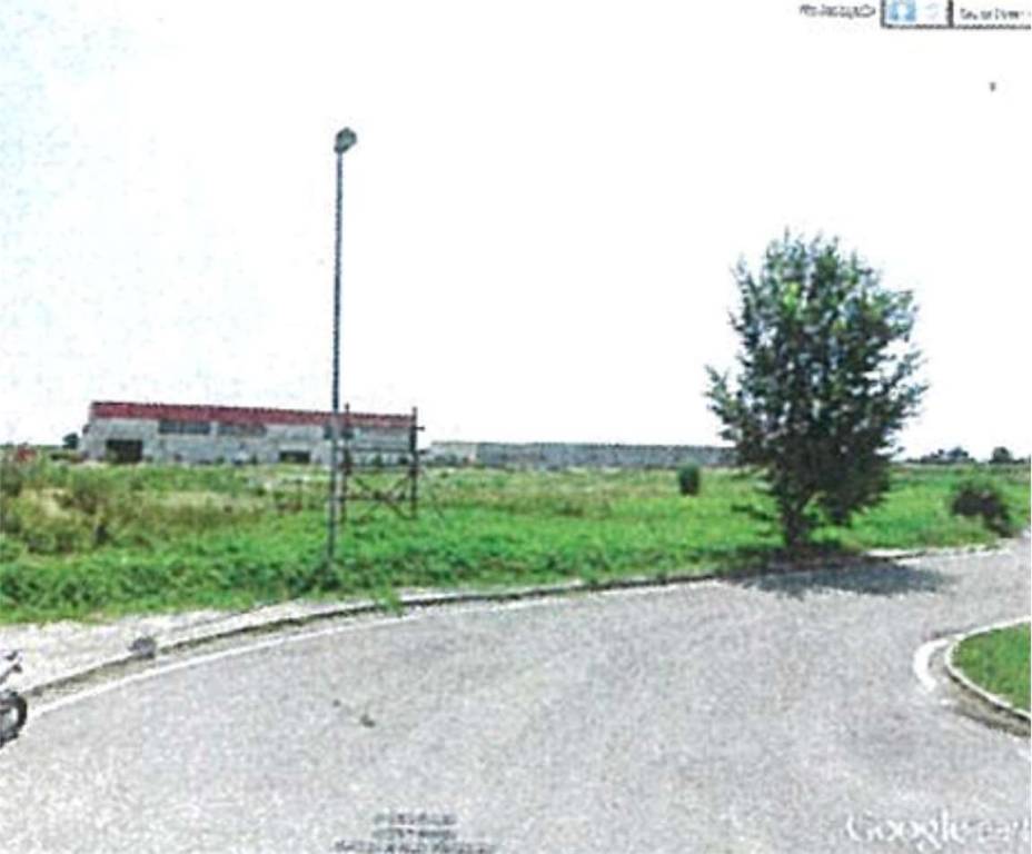 immagine annuncio 3 di 12