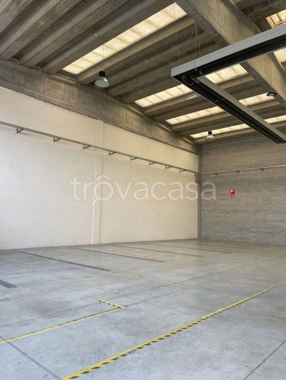immagine annuncio 4 di 14