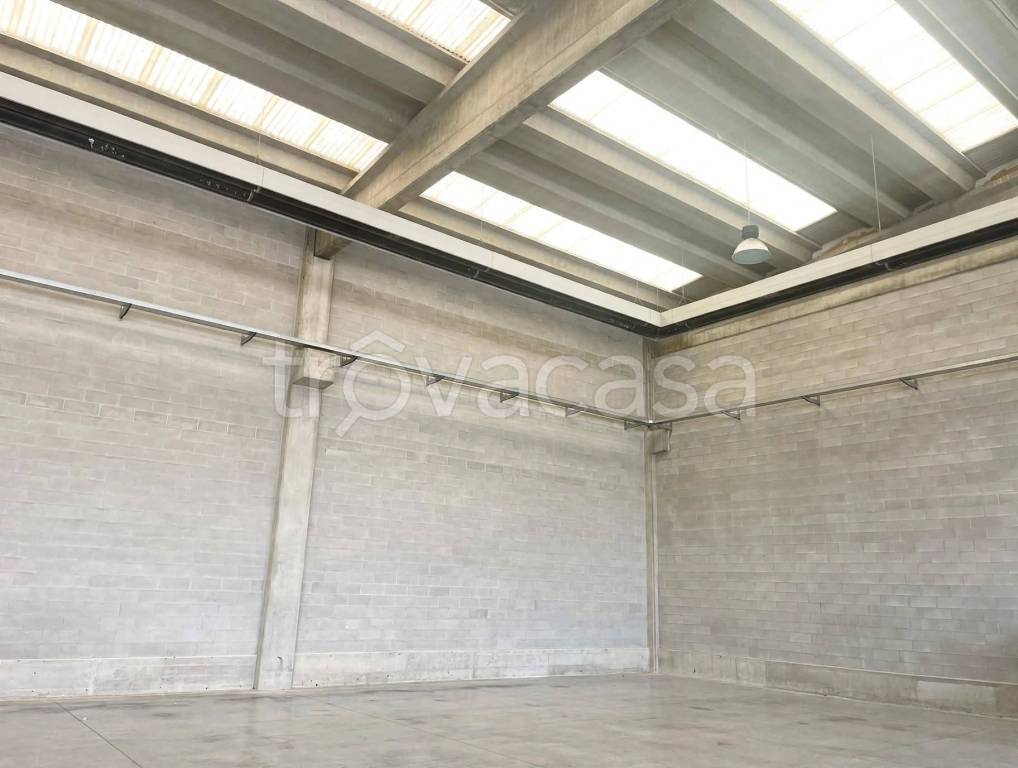 immagine annuncio 5 di 14