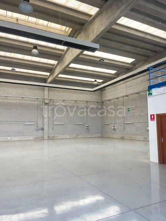immagine annuncio 9 di 14